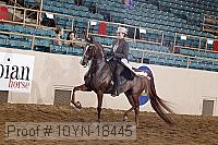 10yn-18445 thumbnail