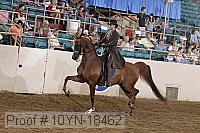 10yn-18462 thumbnail