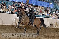 10yn-18471 thumbnail