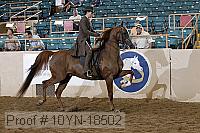 10yn-18502 thumbnail