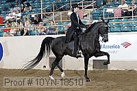 10yn-18510 thumbnail