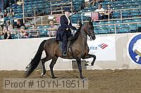 10yn-18511 thumbnail