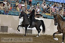 10yn-15146 thumbnail
