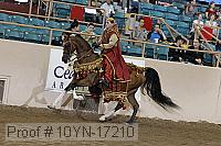 10yn-17210 thumbnail