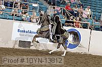 10yn-13812 thumbnail