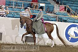 10yn-09743 thumbnail