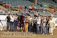 10yn-13121 thumbnail