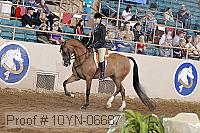10yn-06687 thumbnail