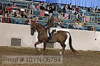 10yn-06784 thumbnail