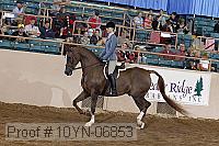 10yn-06853 thumbnail