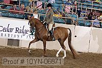 10yn-06871 thumbnail