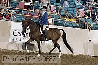 10yn-06872 thumbnail
