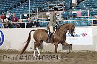 10yn-06951 thumbnail