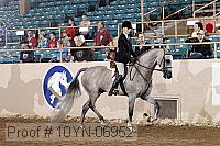 10yn-06952 thumbnail