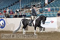 10yn-06953 thumbnail