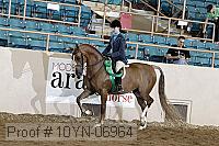 10yn-06964 thumbnail