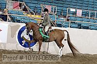 10yn-06969 thumbnail