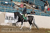 10yn-06970 thumbnail
