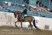 10yn-06983 thumbnail
