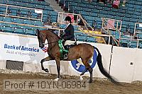 10yn-06984 thumbnail