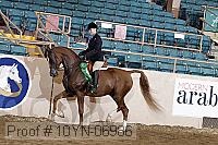 10yn-06986 thumbnail
