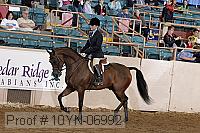 10yn-06992 thumbnail
