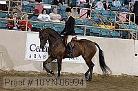 10yn-06994 thumbnail