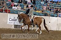 10yn-07002 thumbnail