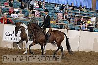 10yn-07006 thumbnail