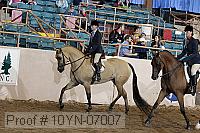 10yn-07007 thumbnail