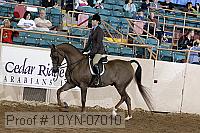 10yn-07010 thumbnail