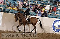 10yn-07012 thumbnail