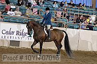 10yn-07016 thumbnail