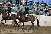 10yn-07017 thumbnail
