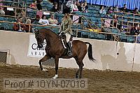 10yn-07018 thumbnail