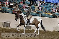 10yn-07019 thumbnail