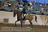 10yn-07021 thumbnail