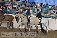 10yn-07023 thumbnail