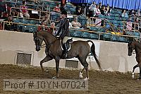 10yn-07024 thumbnail