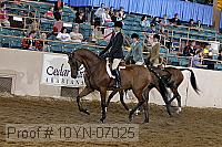 10yn-07025 thumbnail