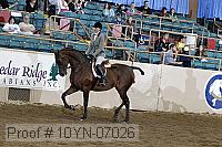 10yn-07026 thumbnail