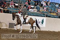10yn-07032 thumbnail