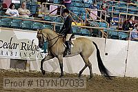 10yn-07033 thumbnail