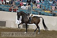 10yn-07034 thumbnail