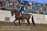 10yn-07039 thumbnail