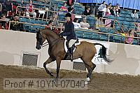 10yn-07040 thumbnail