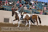 10yn-07041 thumbnail