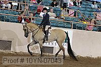 10yn-07043 thumbnail