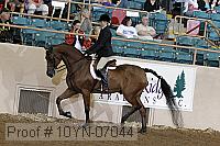 10yn-07044 thumbnail