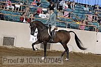 10yn-07045 thumbnail